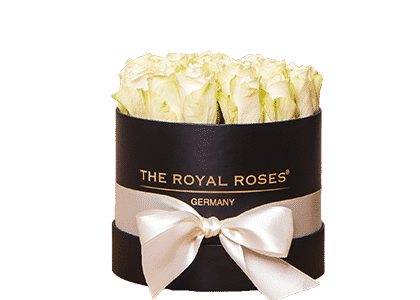Rosenbox bestellen - Gestalten Sie individuell Ihre Rosenbox mit Infinity Rosen und versenden Sie EU-weit - Flowerbox bestellen
